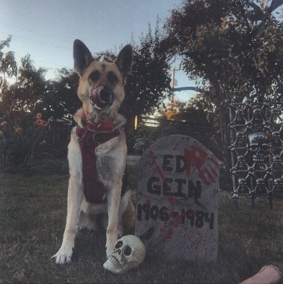 Meet your Posher, Rick - Picture 8 of 8